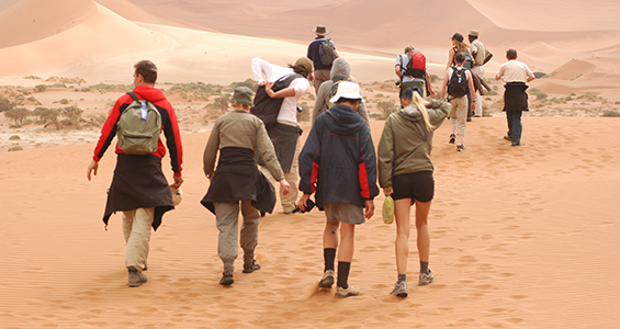 top things to do africa